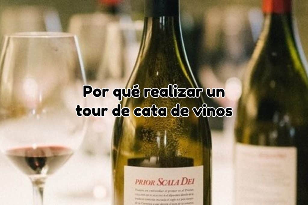 Tour cata de vinos